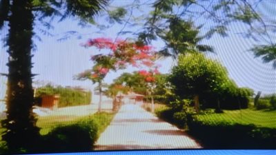 بالصور.. محافظ الغربية يتابع توافد المواطنين على الحدائق والمنتزهات من داخل مركز الطوارئ