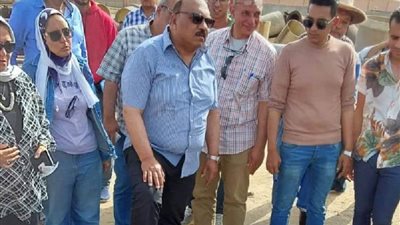 محافظ أسوان: تكثيف الحملات على الأسواق لضبط الأسعار خلال عيد الأضحى