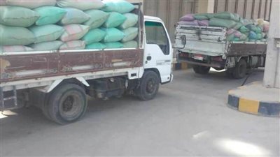 شون وصوامع المنيا تواصل استقبال القمح وتوريد 404 آلاف طن منذ بدء الموسم