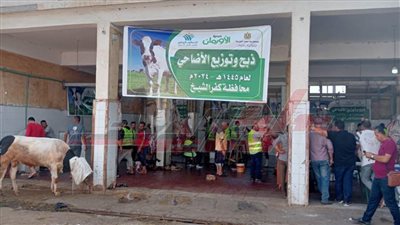 ذبح 1643 أضحية للمواطنين مجانًا بـ 16 مجزرًا حكوميًا بكفر الشيخ
