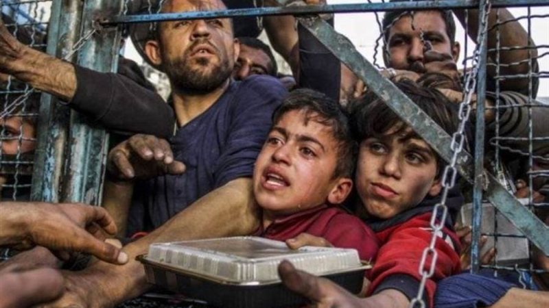 بوابة روز اليوسف