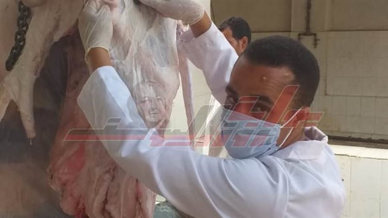 مجازر كفرالشيخ