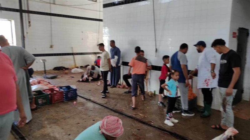 مجازر الوادي الجديد