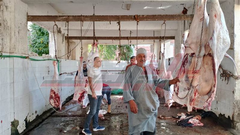 مجازر كفرالشيخ