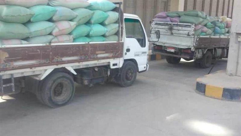 توريد محصول القمح