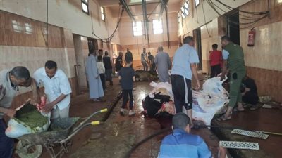 إقبال كبير من المواطنين على مجازر الوادي الجديد في ثالث أيام العيد 