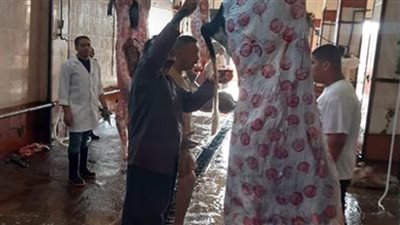 المجازر تواصل استقبال المواطنين لذبح الأضاحي مجانًا بعيد الأضحى المبارك بالقليوبية 