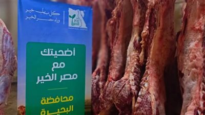 مصر الخير تذبح 157 عجلا بعيد الأضحى لدعم الأسر الأكثر احتياجًا بالبحيرة 
