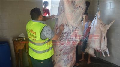 توزيع لحوم الأضاحي على الأسر الأولى بالرعاية بمطروح 