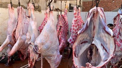 ذبح  1186رأس ماشية بالمجان حصيلة العيد داخل مجازر الغربية