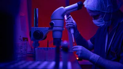 عاجل.. دراسة: الصيام يعزز المناعة ضد السرطان