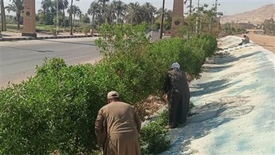 محافظ أسيوط يعلن استمرار تشجير مسار رحلة العائلة المقدسة بقرية درنكة