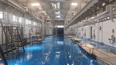  بالصور.. محافظ الغربية يتابع تعقيم وتطهير المجازر بعد انتهاء ذبح الأضاحي