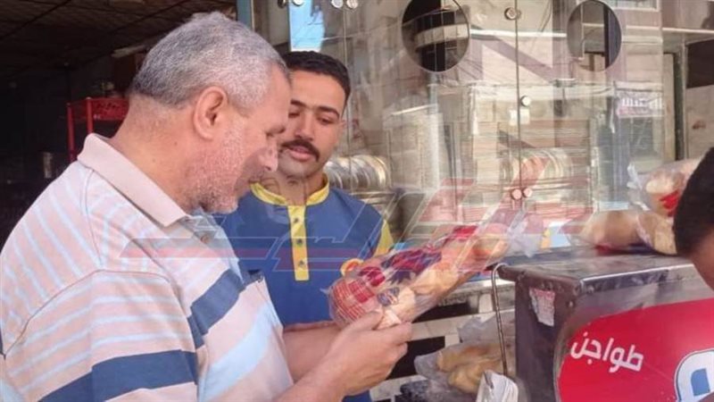 الحملات الرقابية