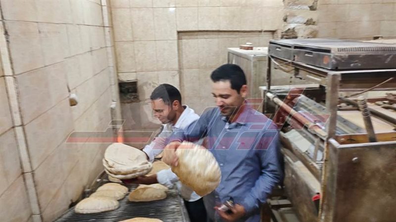 الحملات الرقابية