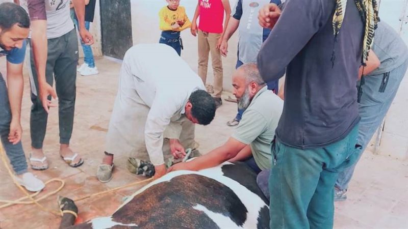 مجازر الوادي الجديد