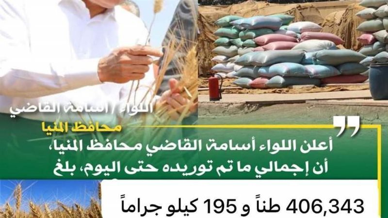 توريد القمح بالمنيا