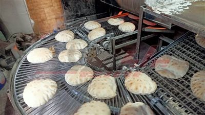 كفر الشيخ تحرر 5 محاضر لمخالفات المخابز بقلين