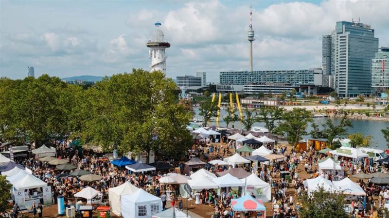 جانب من المهرجان