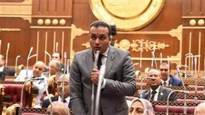 النائب عمرو فهمي: ثورة 30 يونيو أنقذت مصر من السقوط في نفق الفوضى
