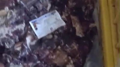 ضبط 400 كيلو دجاج نافقة قبل بيعها لمحال المشويات بالقاهرة والجيزة 