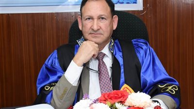  11 عامًا على ثورة يونيو.. القضاء المصري يلغي وزارة الإعلام الإخوانية 