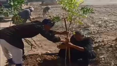 سعد: استمرار أعمال زراعة أشجار بمركز أسيوط ضمن مبادرة «زراعة 100مليون شجرة»