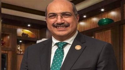 إيهاب وهبة: 30 يونيو أعادت مصر لمكانتها وريادتها الدولية