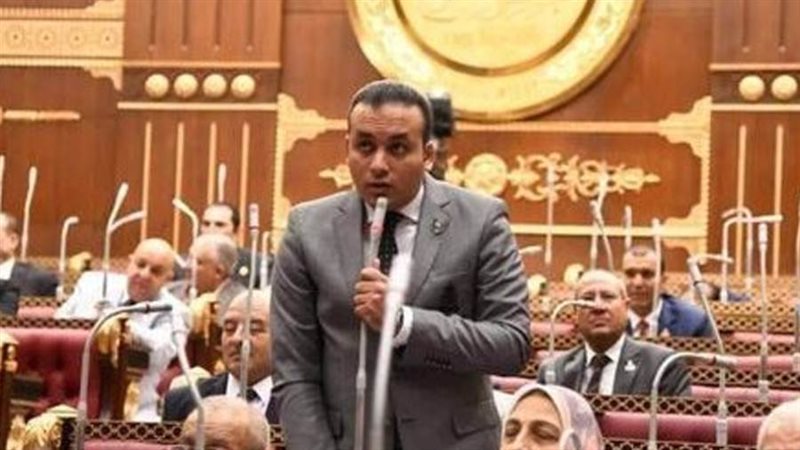 النائب عمرو فهمي