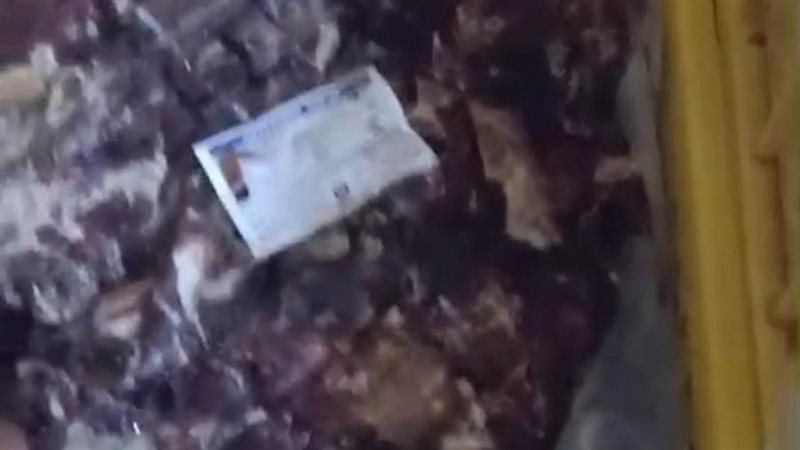 دجاج نافق بالفيوم