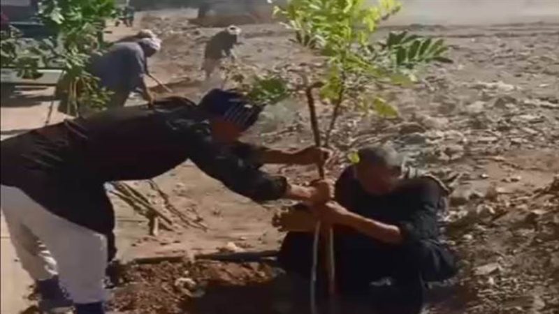 جانب من التشجير