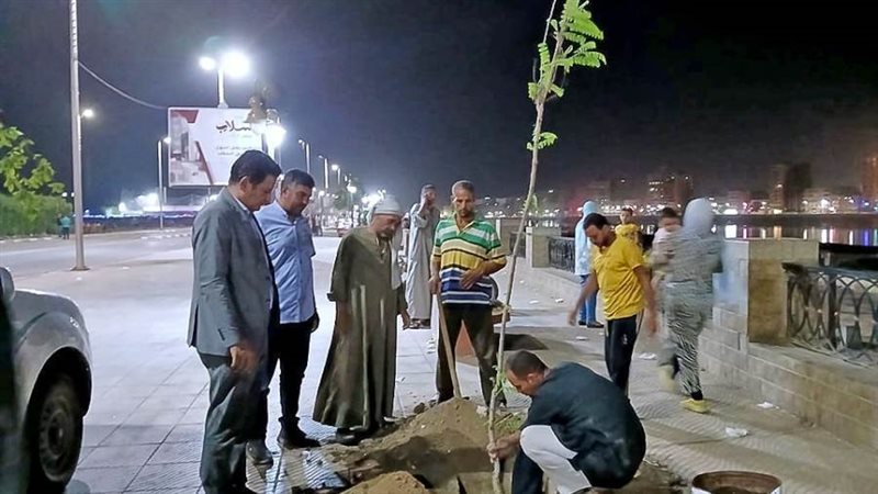 جانب من التشجير