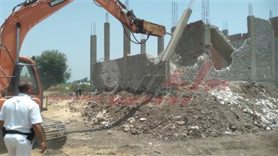 إزالة التعديات على الأراضى الزراعية ومخالفات البناء بفوه في كفر الشيخ