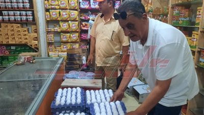 الحملات التموينية المكبرة بكفر الشيخ تحرر 15 محضرًا لمخالفين ببلطيم