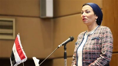 البيئة: لجنة فنية للوقوف على الأضرار بالشعاب المرجانية في حادث شحوط مركب سفاري بمرسى علم