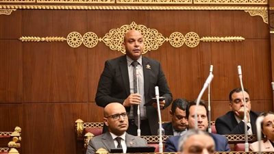 النائب محمود القط: ثورة يونيو كانت قاعدة انطلاق لعودة ثقة الشباب والطموح والأمل لهم