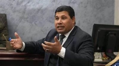 خليفة: الدولة أحرزت تقدما على كافة الأصعدة بعد ثورة 30 يونيو