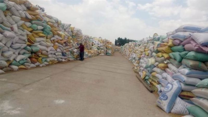 توريد القمح