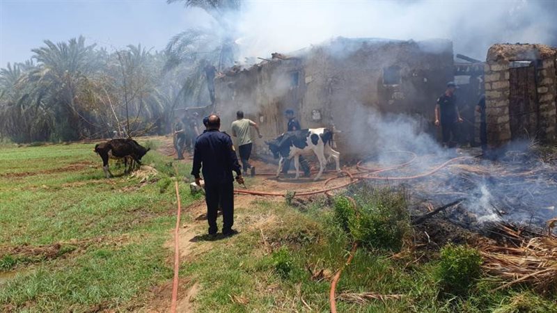 حريق بمزرعة في الوادي