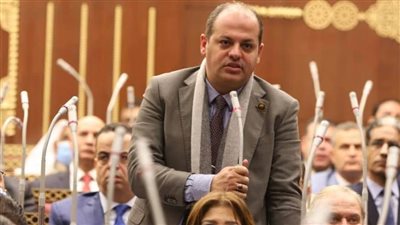 برلماني: 30 يونيو ملحمة وطنية وأنهت مشروع أخونة الدولة وكافة المخططات