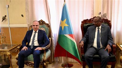 وزير الري: التعاون بين مصر وجنوب السودان يعزز فرص التنمية المشتركة