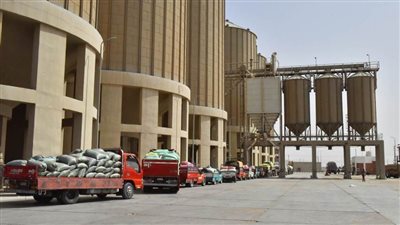 محافظ أسيوط يعلن ارتفاع معدلات توريد القمح لنحو 192 ألف طن