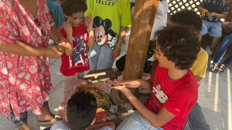 بوابة روز اليوسف