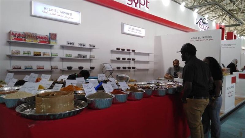 جناح مصر بمعرض تنزانيا