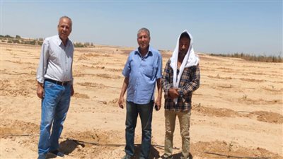 وفد من الزراعة يتفقد زراعات الجوجوبا في غرب المنيا