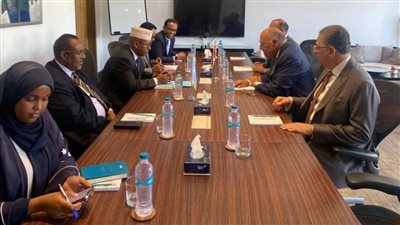 وزير الخارجية ونظيره الصومالي يبحثان سبل الوضع بمنطقة القرن الإفريقي