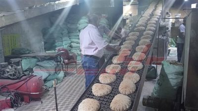 حملات رقابية لضبط أسواق كفر الشيخ