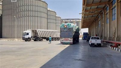 توريد 610 آلاف طن من الأقماح المحلية بمراكز التجميع بالشرقية 