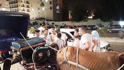 محافظة أسوان: رفع 784 حالة إشغال وإزالة التعديات وتنفيذ النظافة العامة