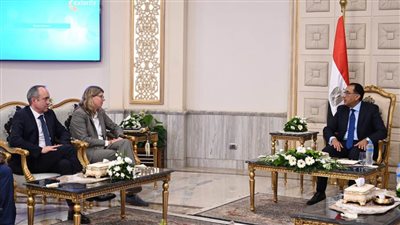 مدبولي يلتقي الرئيس التنفيذي لـ